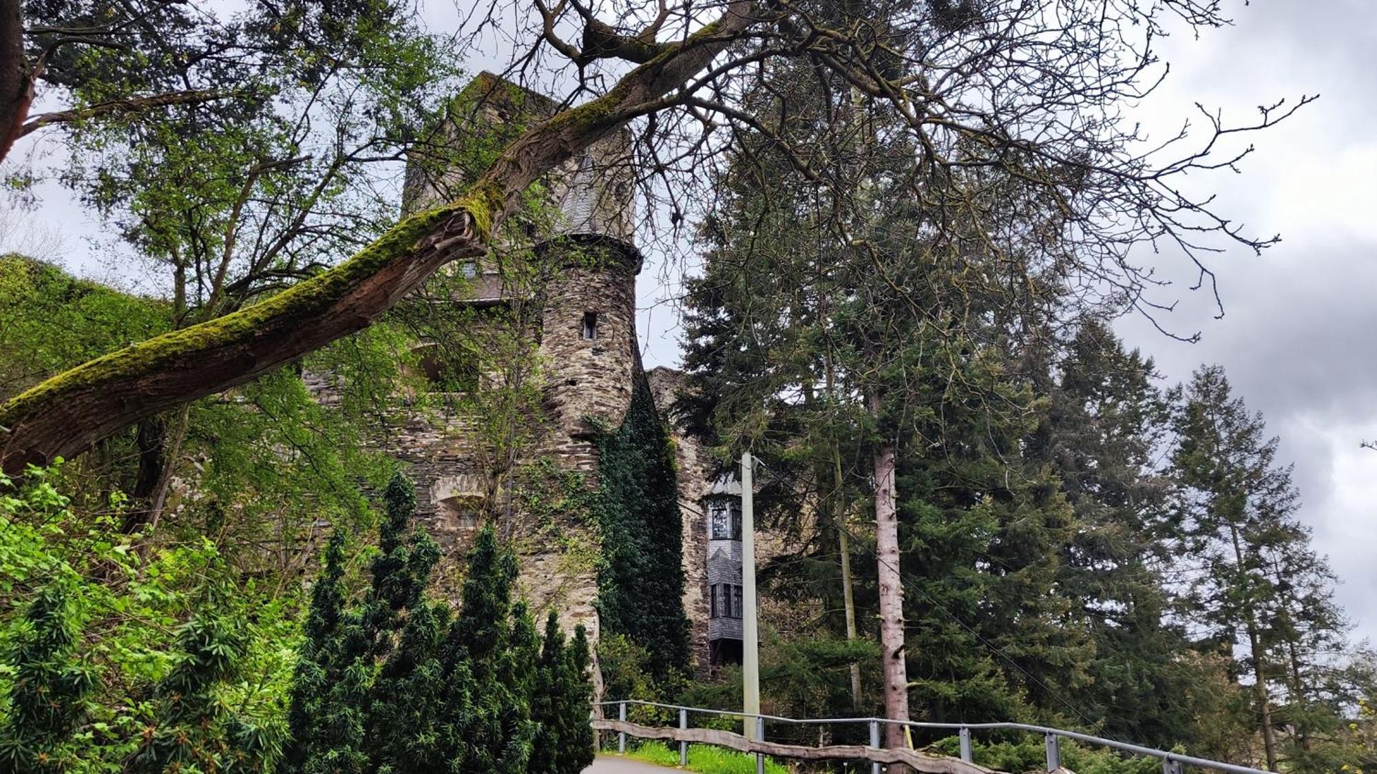 Direkt Am Rhein Mit Burgblick Nahe Rheinsteig Bis 8 Personen, 2 Baeder, 4 Zimmer, Kueche, Netflix Daire Kaub Dış mekan fotoğraf
